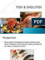 Fish & Shellfish