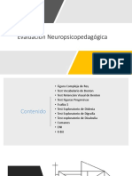 Evaluacion Neuropsicopedagogica