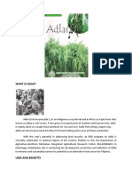 WHAT-IS-ADLAI.pdf