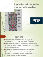 Histología Dentaria, Esmalte, Dentina, Complejo Pulpar, Dra. Bejarano