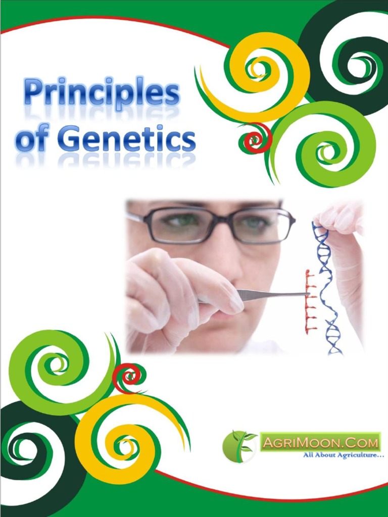 Principle visual data 5