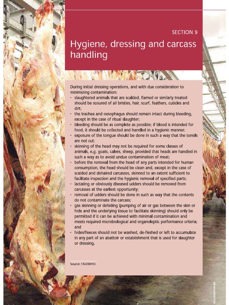 Hygiene, Dressing and Carcass Handling PDF