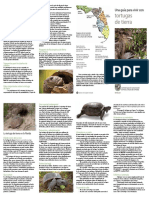 tortugas de tierra.pdf