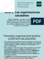 Psi - Organizaciones - Tema 9 Diapositivas