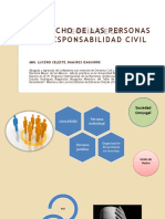 Derechos civiles y responsabilidad