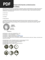 Atividades embriologia