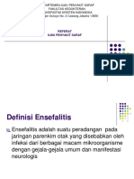 Ensefalitis Virus