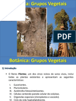 Aula Grupos Vegetais