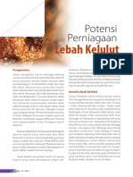 Potensi Perniagaan Kelulut