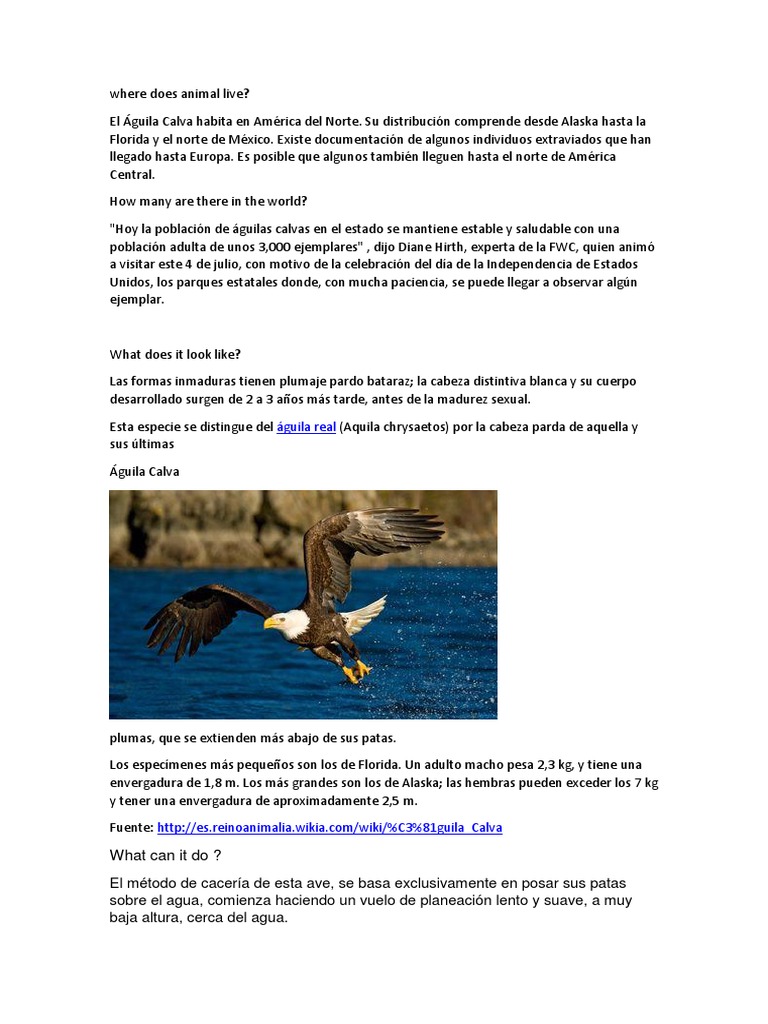 Aguila Calva | PDF