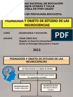 Curso Neurociencia Educación