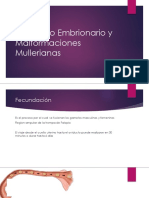 Desarrollo Embrionario y Malformaciones Mullerianas [Autoguardado]