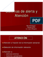 Margulis Sistemas de Alerta Atencion PDF