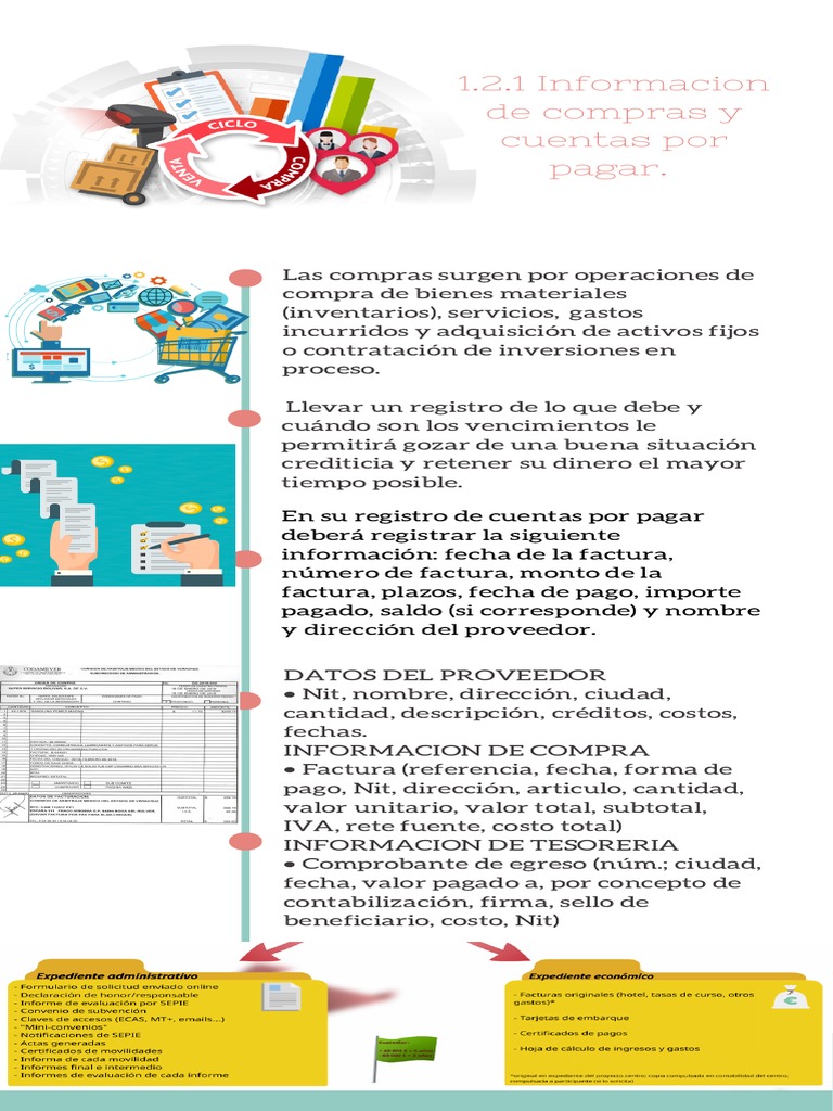 Registro de Compras y Cuentas por Pagar | PDF