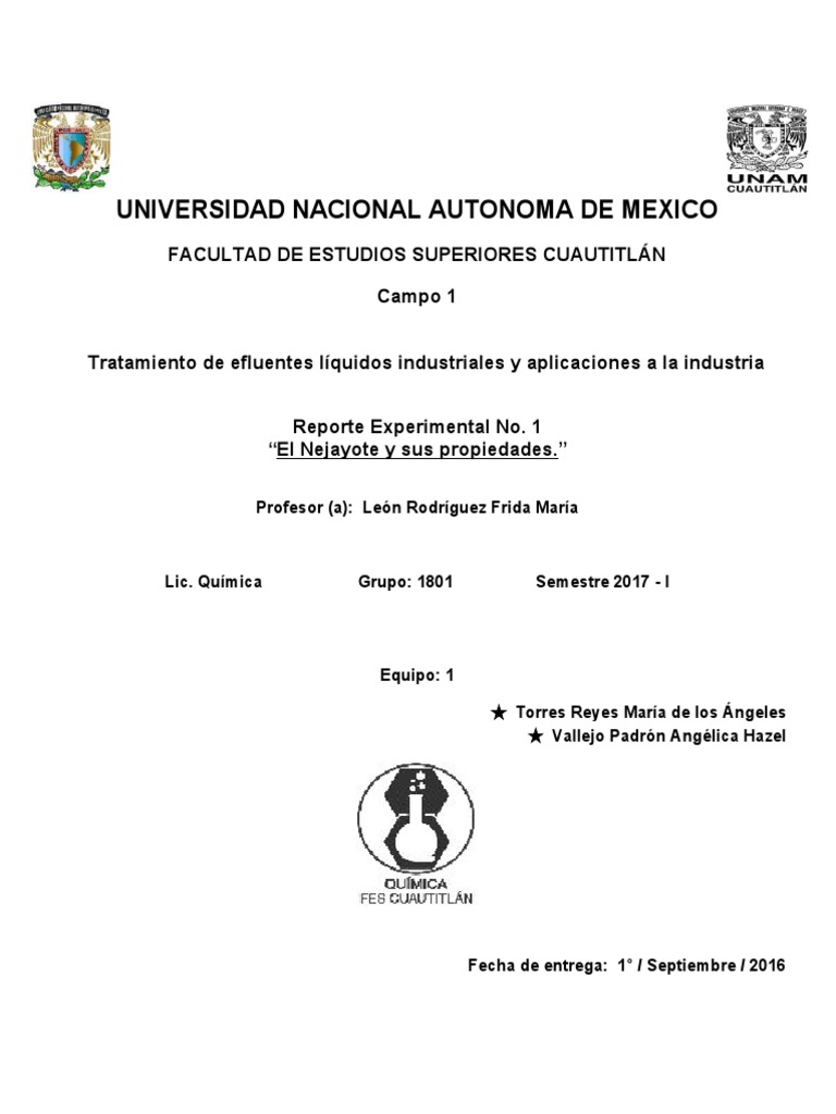 Análisis del Nejayote y su Contaminación | PDF | Maíz | Agua