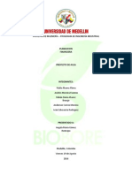 BIOBORE (Informe Ejecutivo)