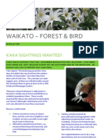 Waikato Forest & Bird: Kaka Sightings Wanted!