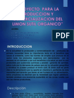 Proyecto para La Produccion y