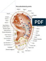 Puntos MuscoEsqueleticos en La Oreja