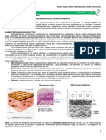 02 - Tecido Epitelial de Revestimento