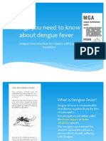 Things You Need To Know About Dengue Fever