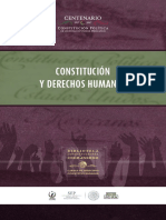 Constitución y Derechos Humanos-DDHH