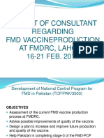 Consultant FMD Report