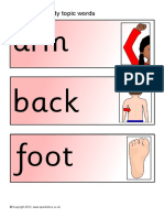 Arm Back Foot: Parts of The Body Topic Words