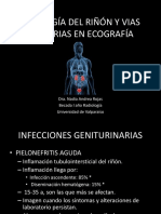 Patologia Renal y Vias Urinaria en Ecografia
