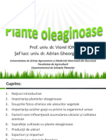 Plante Oleaginoase