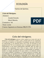 CicloN.ppt