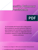 Hipertensión Pulmonar Persistente