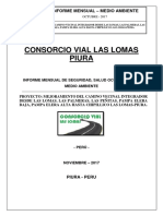 Informe Ssoma Noviembre