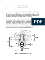 Estructura de La Flor