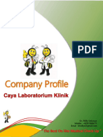 Caya Company Profile 2017