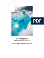 La Patagonia