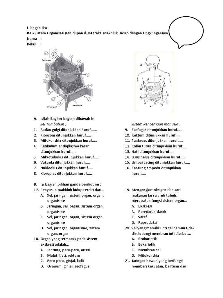 6700 Koleksi Hewan Cacing Ditunjukkan Oleh Gambar Gratis Terbaik