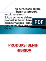 K 3 - Produksi-Benih Hibrida