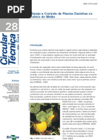  Manejo e Controle de Plantas Daninhas