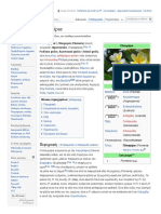 El Wikipedia Org Wiki Ce a0 Ce Bb Ce Bf Cf 85 Ce Bc Ce Ad Cf 81 Ce b9 Ce b1