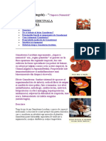 Ganoderma