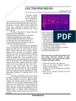 Group A. Electrophoresis