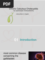 Chronic Calculous Cholecystitis