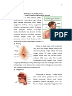 Sistem Pernapasan