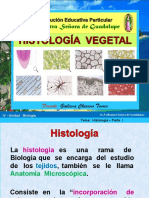 Histologiavegetal 130602214302 Phpapp01