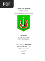 Laporan Hasil Praktikum_leukosit