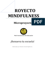 Micro Mindfulness PDF