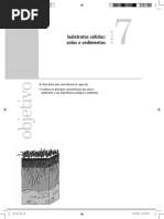 Aula 07 - Substratos Sólidos Solos e Sedimentos