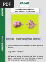 Conexão Intestino - Cérebro e Probióticos
