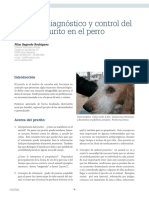 CV 54 Enfoque Diagnostico Prurito Perro